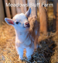 Load image into Gallery viewer, Gift Card