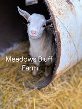 Load image into Gallery viewer, Gift Card