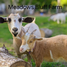 Load image into Gallery viewer, Gift Card