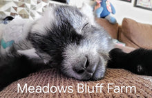 Load image into Gallery viewer, Gift Card